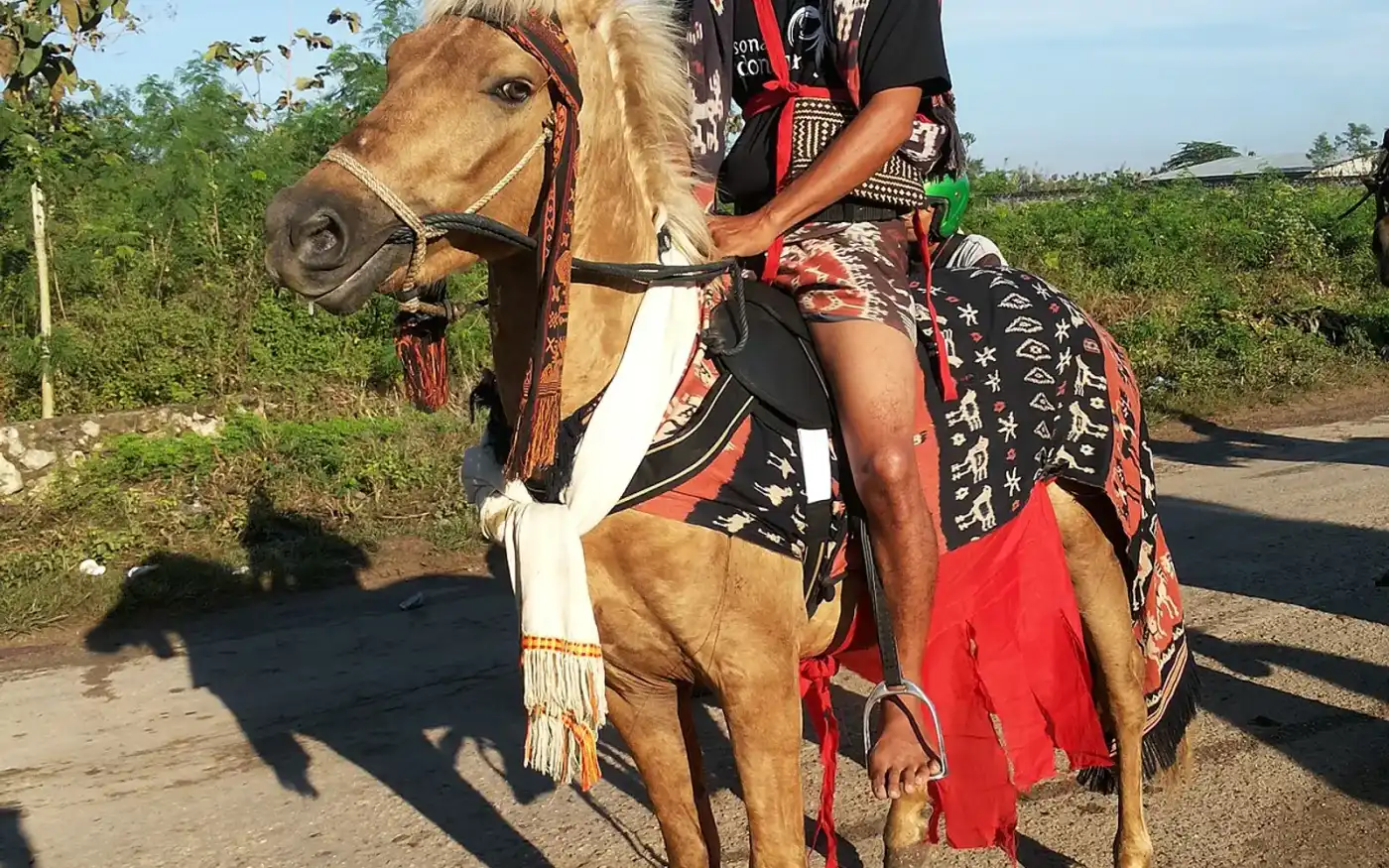Hus — Rote's Sacred Horse Ceremony