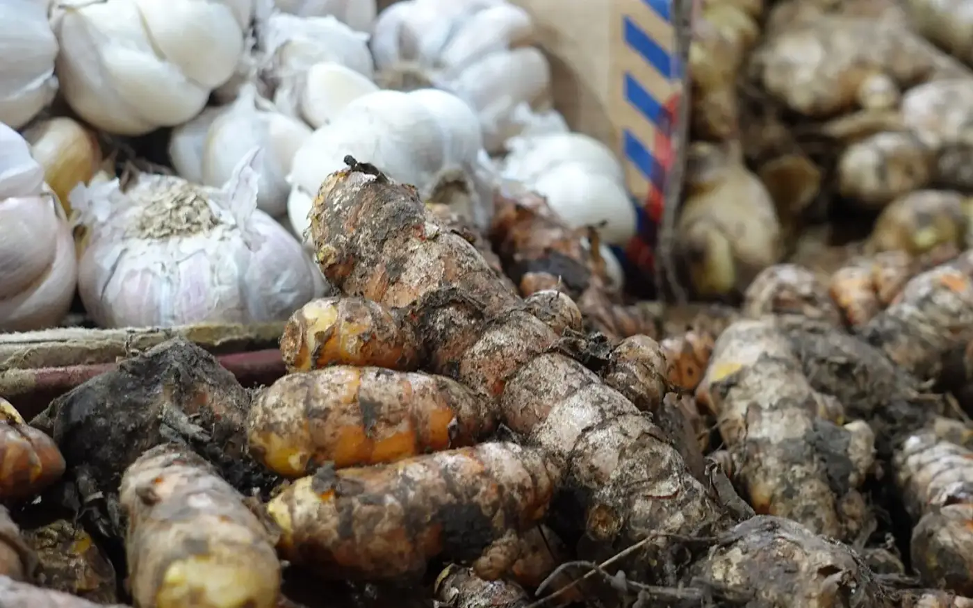 Pasar Ba'a — Tuesday Market