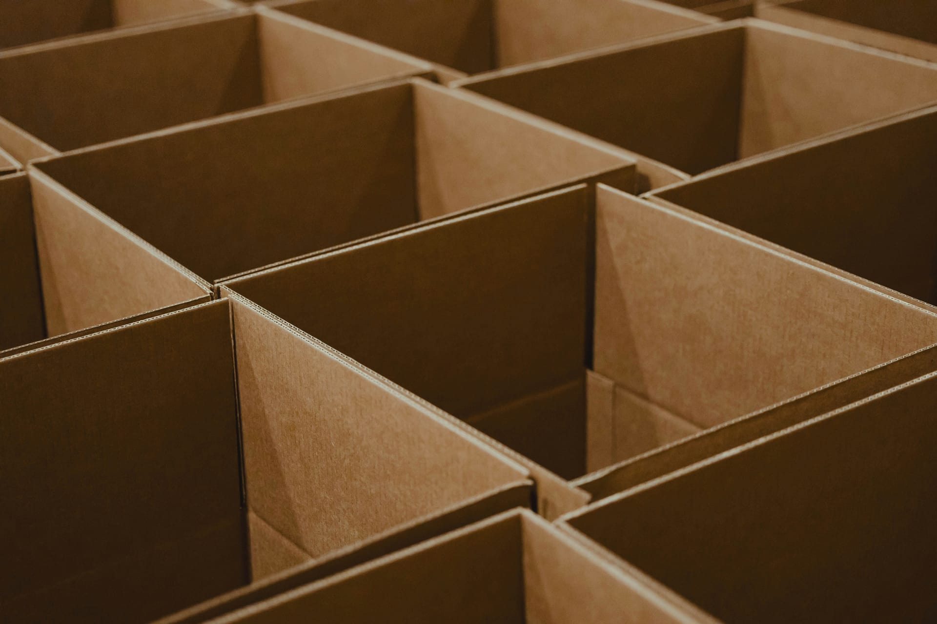 Two pairs of hands passing a worn cardboard parcel outdoors in warm light