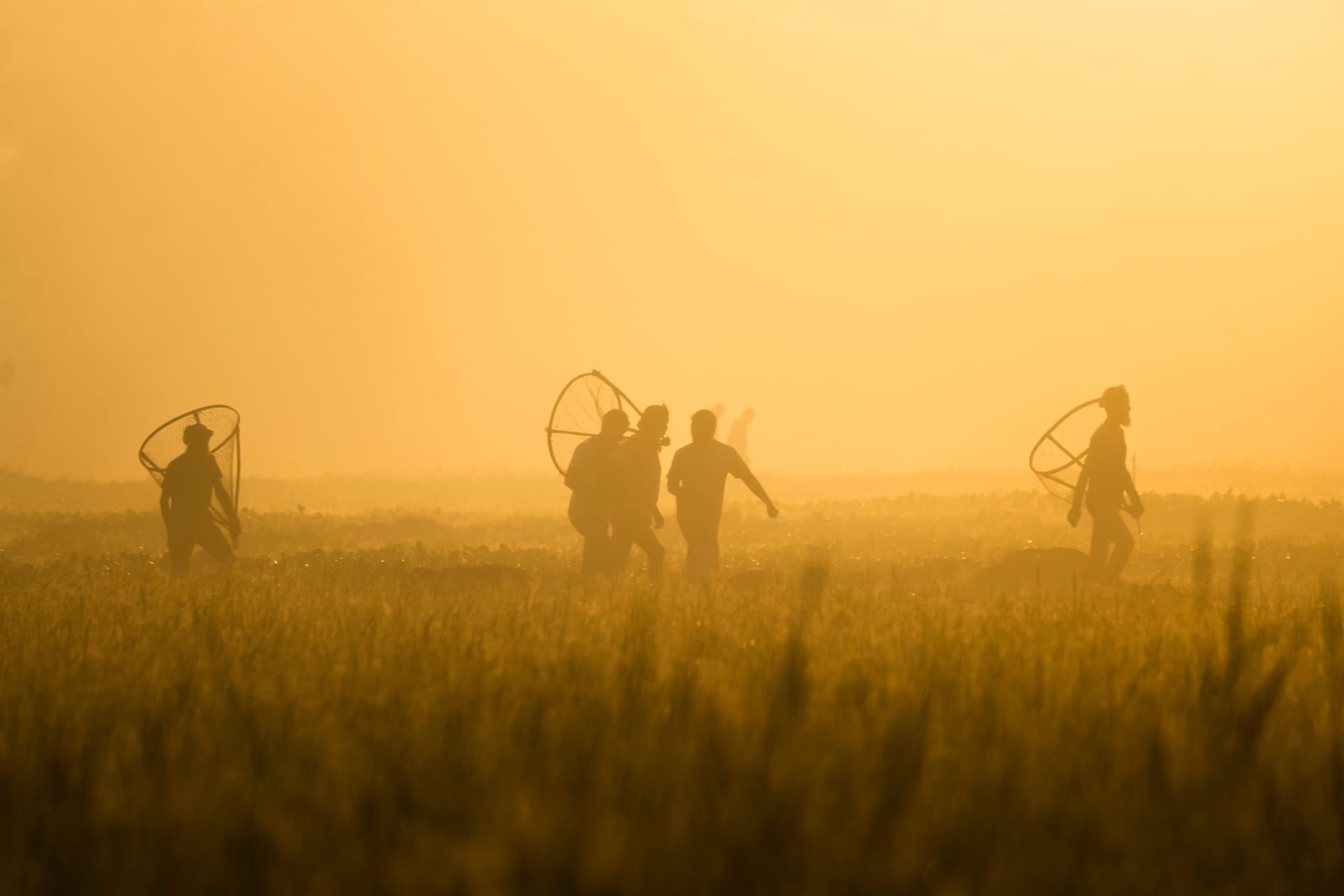 Rotenese men walking a dirt village road at dawn to help clear a neighbour's garden