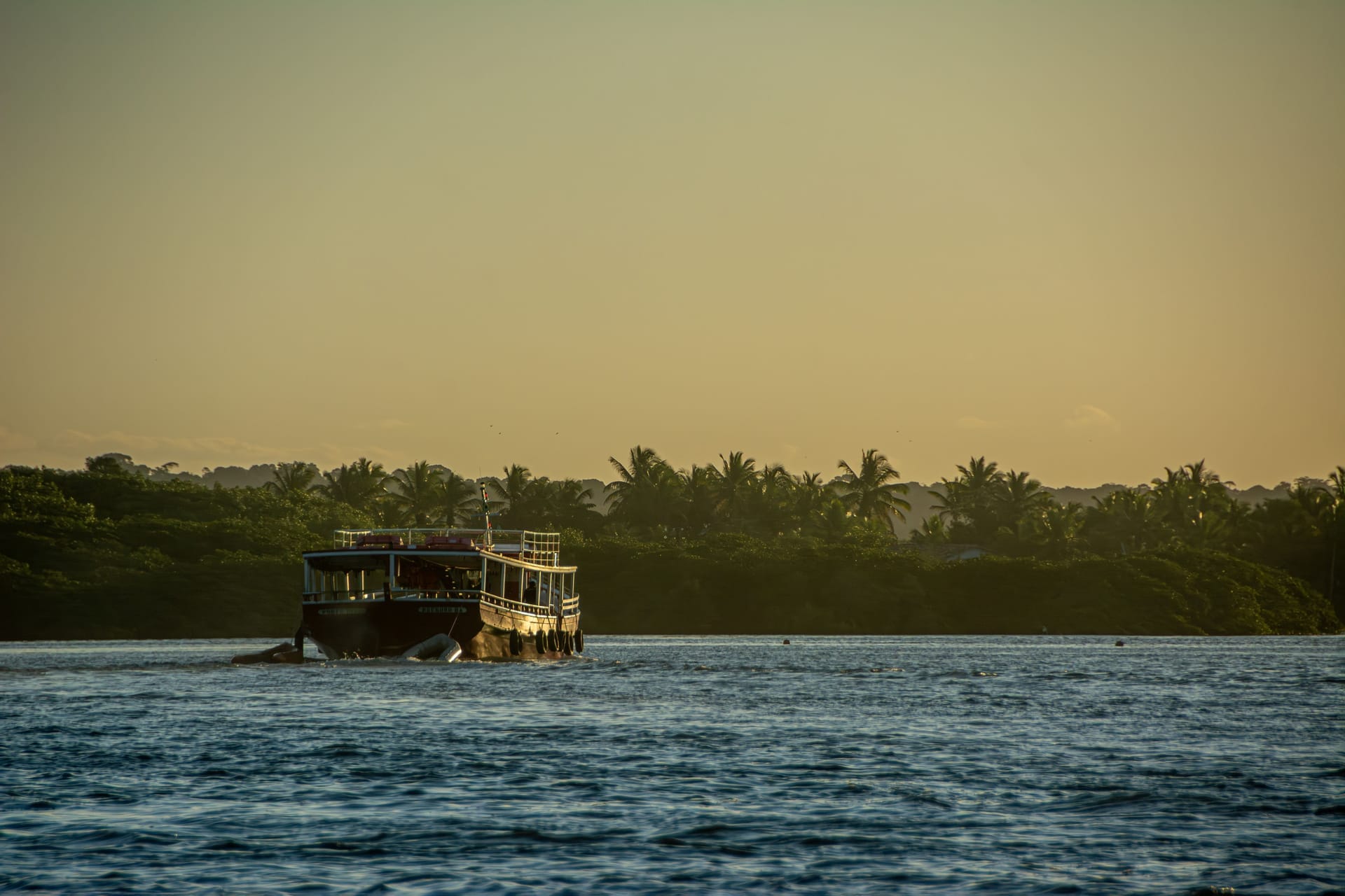 Savu Island's dry lontar-palm coastline seen from a boat crossing the deep Savu Sea at golden hour