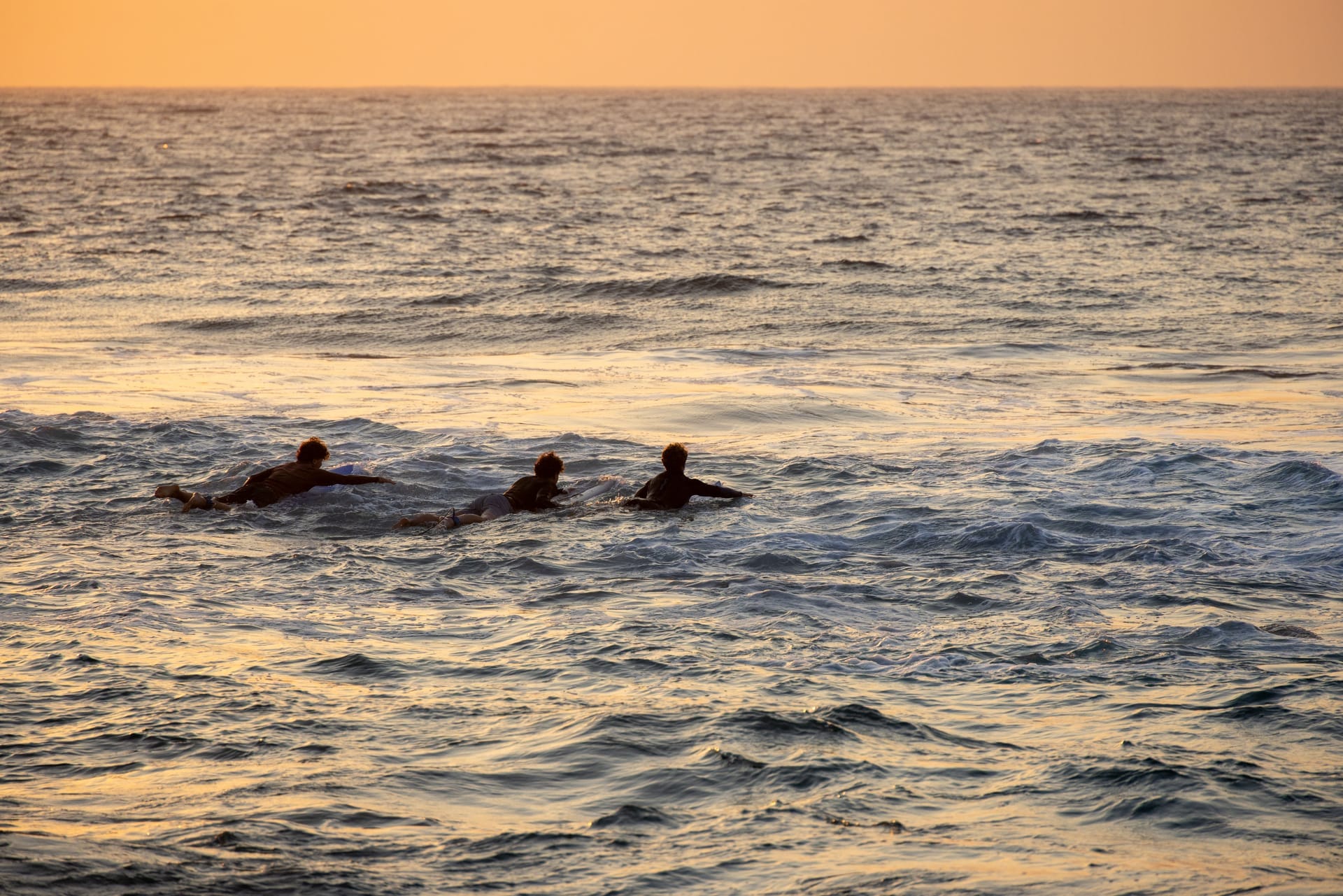Surfers paddling out at dawn on a long left reef break at Rote, small boat in the background