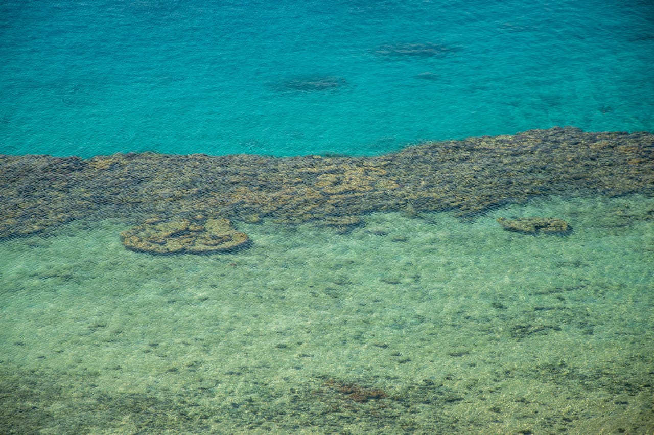 Pale limestone reef terraces and turquoise shallows along an empty coastline near Rote