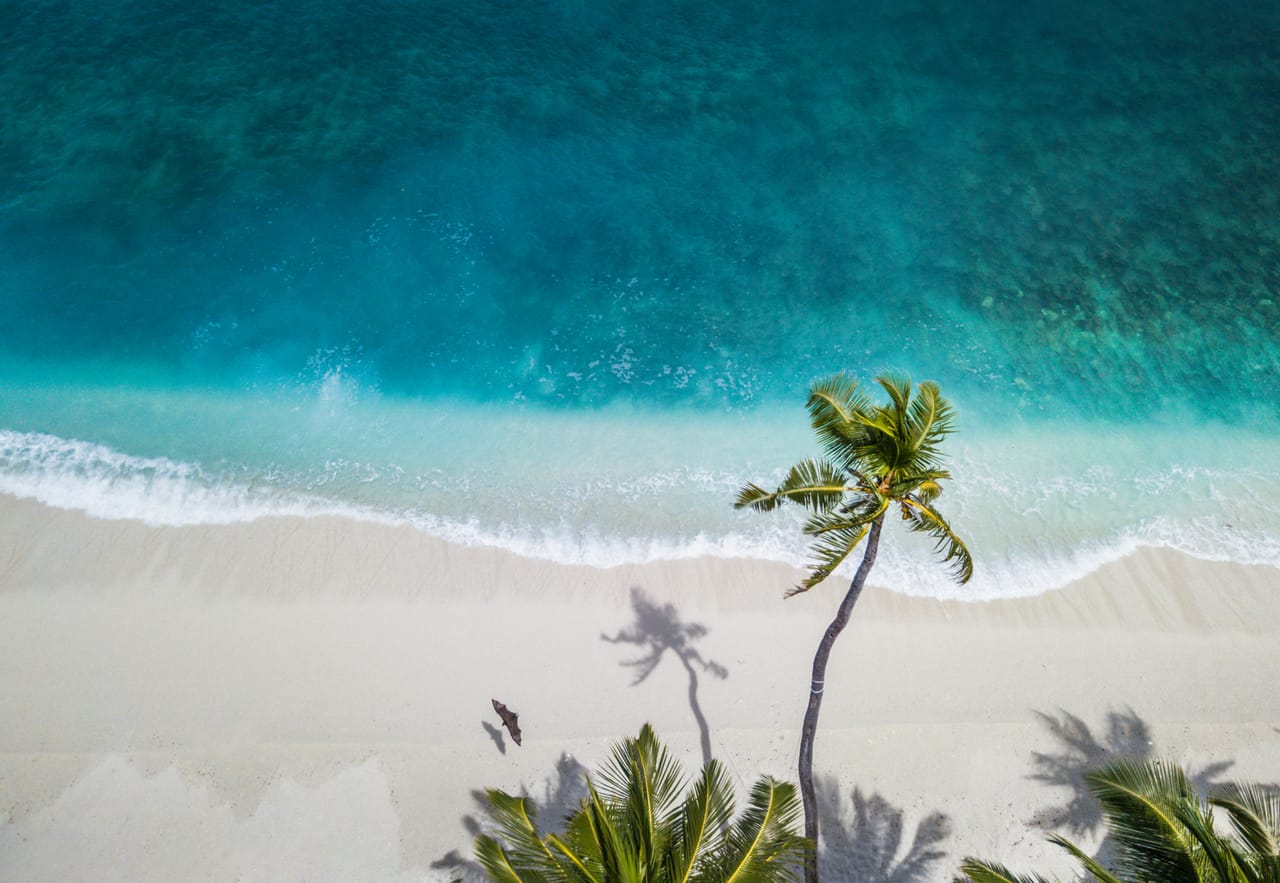 An empty stretch of tropical beach and reef break at first light, no surfers or crowds, calm turquoise water.