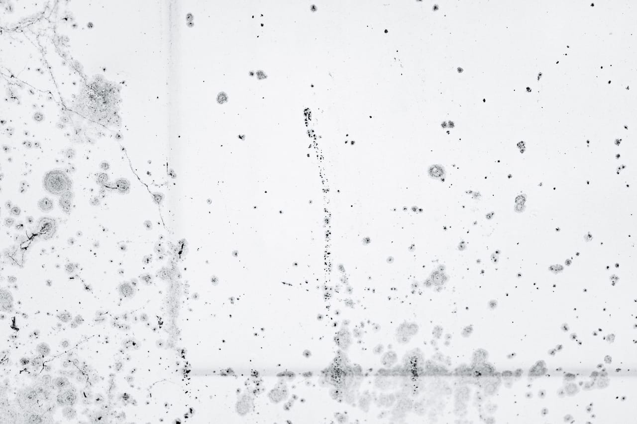 Black mould and damp stains spreading across an interior wall