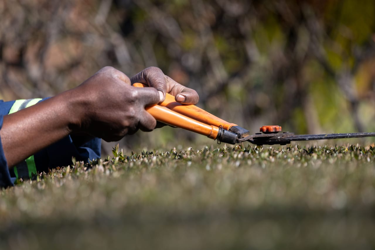 A person cutting back overgrown garden vegetation around a house