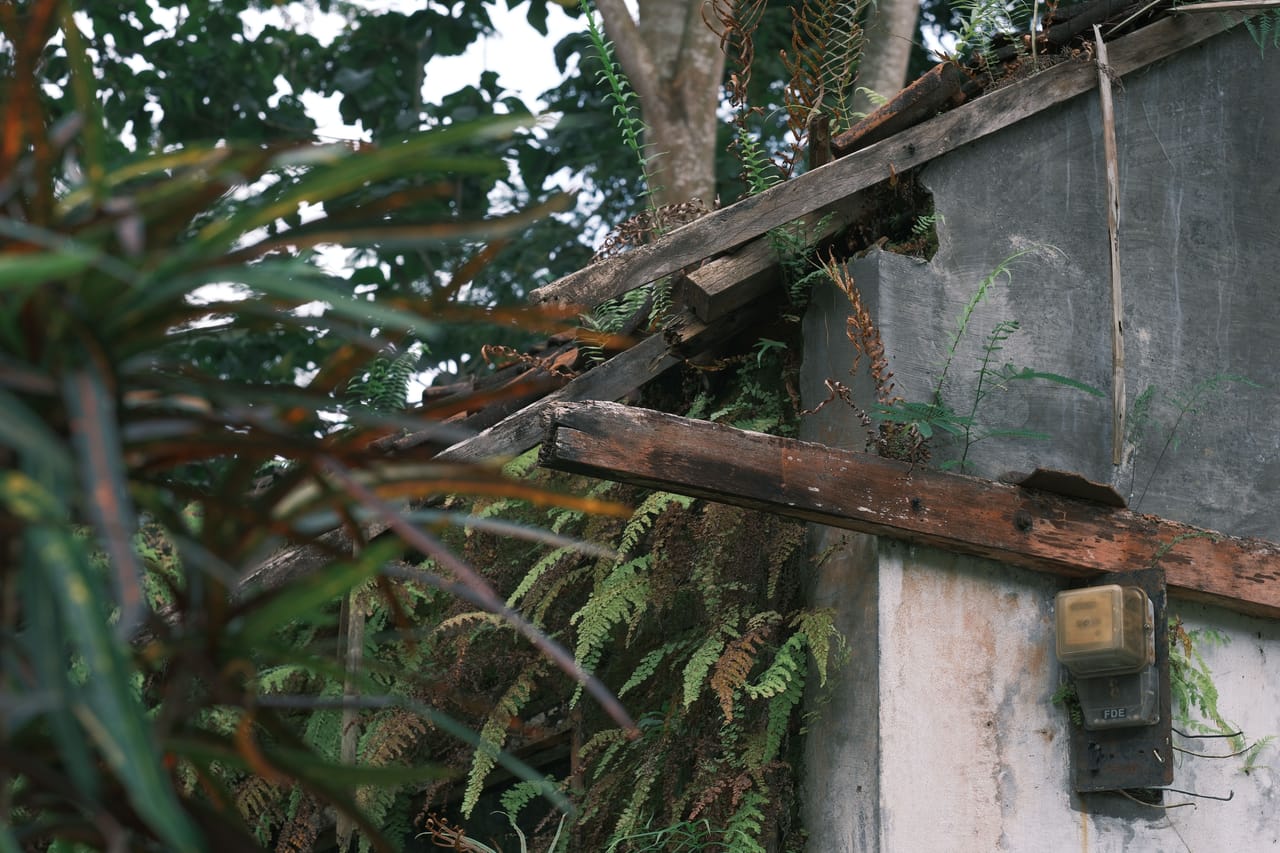 A local caretaker tending the overgrown garden of an empty owner's house on Rote