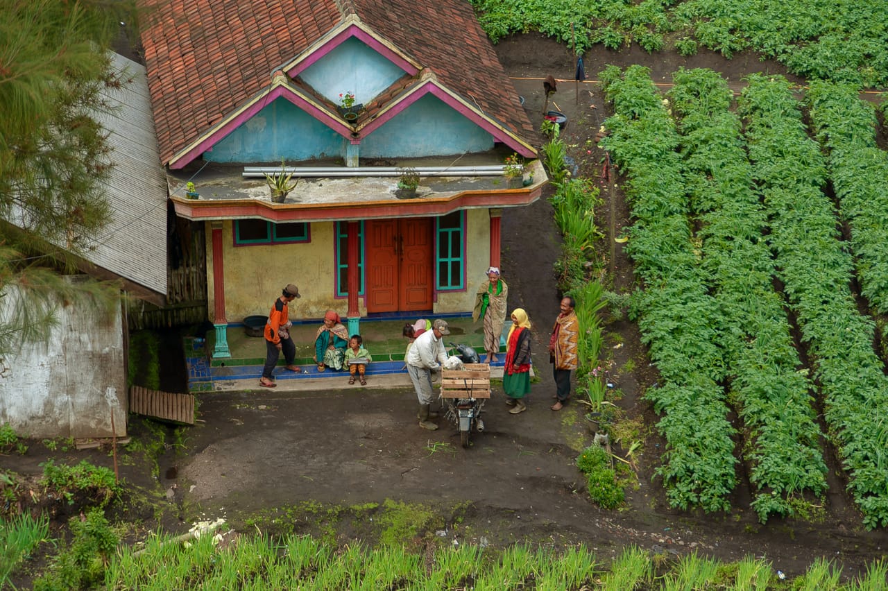 A local house and a small church among the palms and terraced plots of Rote at dawn