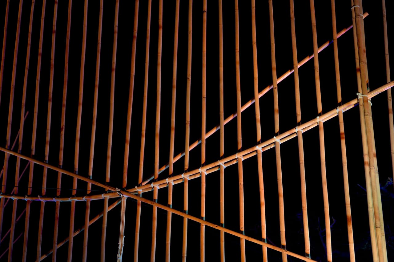 Close-up of a sasando showing the bamboo tube, wooden wedges and strings against the lontar-palm leaf sound box