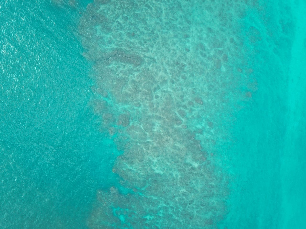 Turquoise nutrient-rich ocean water swirling near the surface