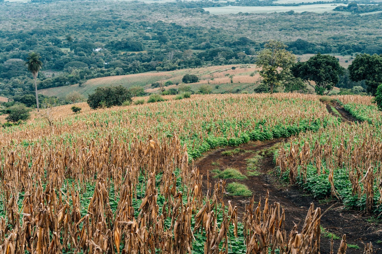 Rolling hills and dirt roads across Rote island, home to a small foreign community in Indonesia
